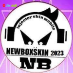 new boxskin 2024